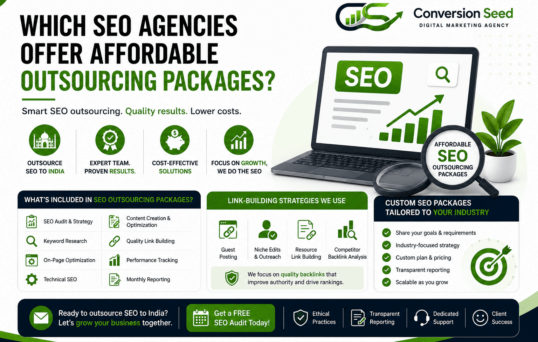 Which SEO Agencies Offer Affordable Outsourcing Packages Conversion Seed